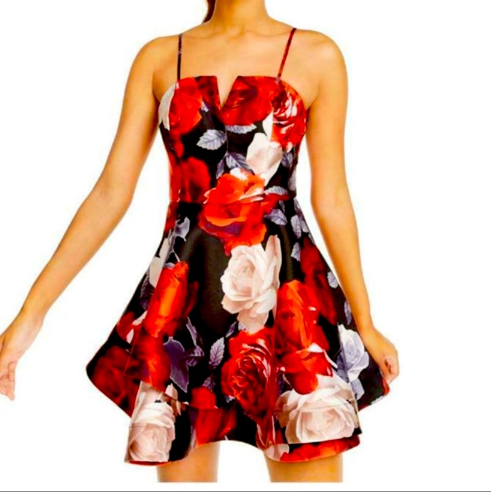 TRIXXI Floral Flare Cocktail Dress
